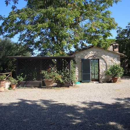 Fontemaggio Appartement Colle di Val d'Elsa Buitenkant foto
